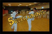 sr.traininng